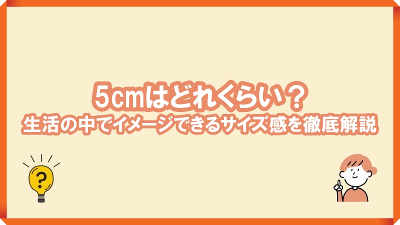 5cm　どれくらい