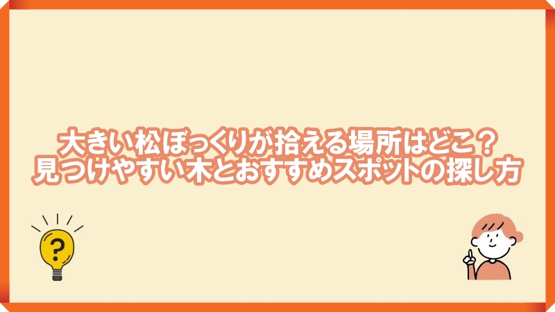 大きい松ぼっくり　拾える場所
